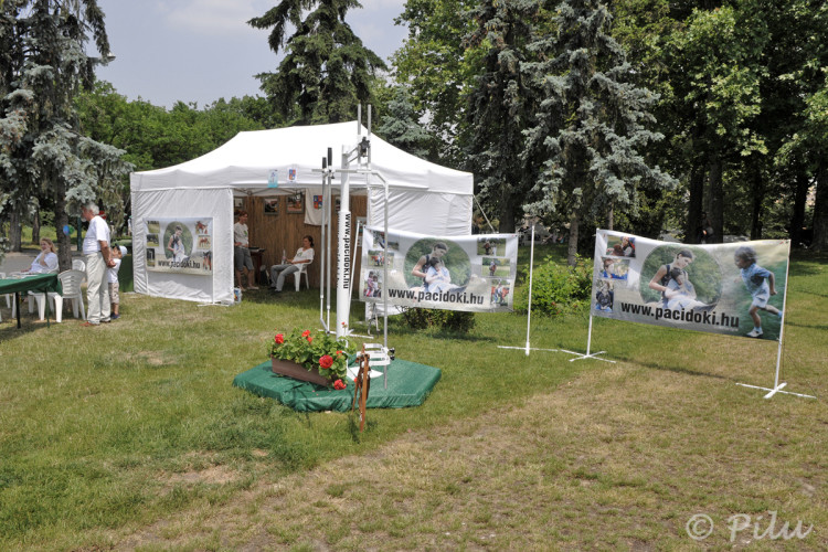 Molin, ponyva, banner - 002